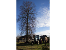 ������ ������� 2015-180.jpg