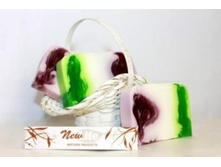 ���� ������������� ������ ������ "NewLife" ������� � �������, ��� 100 ��