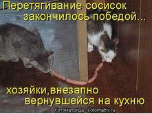 ������������� �������.jpg