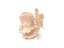 �����.�����.������ ������� ��������,���� �� 1 ��.-74 ���.+���.%