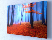 �������� ���.jpg