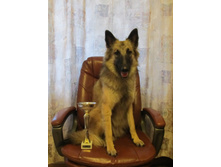 �� ������ 1 �����