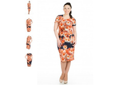 ������ 2549