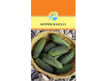 ������ ����� F1 33,00+%