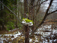 ������ ������� 2015-135.jpg