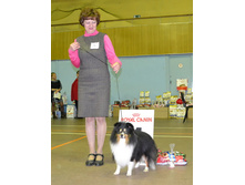 ���� �����