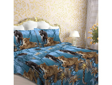 ���� B44.jpg