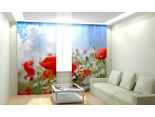 ������� ����.jpg