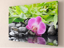 ������������ �������.jpg