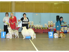 5 ������