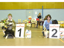 ���� �����