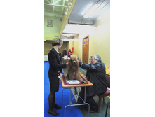 DSCN5926.JPG