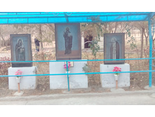 IMG 20151227 082655.jpg