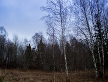 ������ ������� 2015-188.jpg