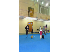 DSCN6131.JPG