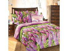 ������2 ����.jpg