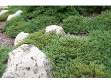 ������������ ��������. «������� ��������»1.jpg