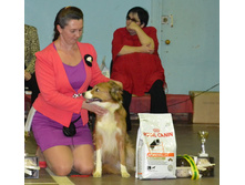 ���� ���������