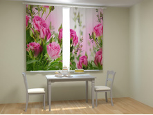 ����� ���� ���.jpg