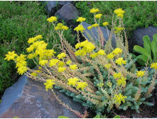 ������ ��������� 30�