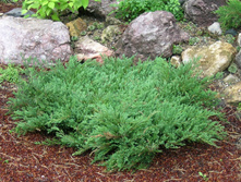 ������������ ��������. «������� ��������».JPG