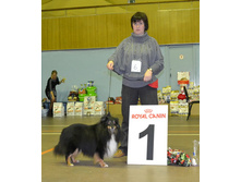 ���� �����