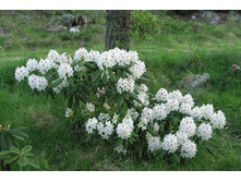 ����������� «����� ���������»1.jpg