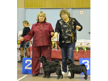 ������� ����������