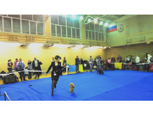 DSCN6056.JPG