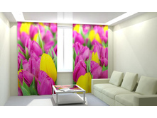 ��������� ��������.jpg