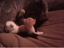 IMG 20151211 131501.jpg