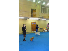 DSCN6133.JPG