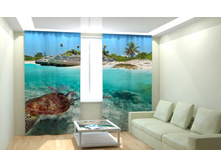 ������ ��������.jpg