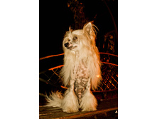 ������������� ���� ���������