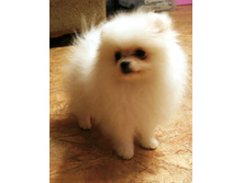 ������� 008.JPG