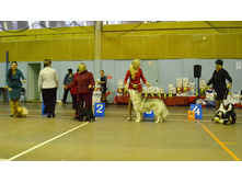 ������� ���