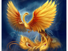 ������ 48*38 ag498 - 1097 ���.