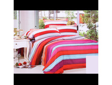 585 ��� ��� (1.5 ��.) 0100.10.jpg