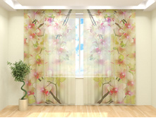 ��������� �������.jpg