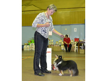 ���� �����