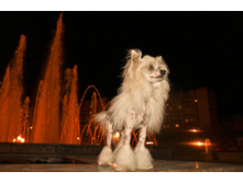 ������������� ���� ���������