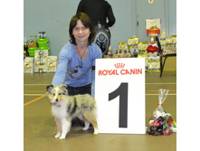 ���� �����