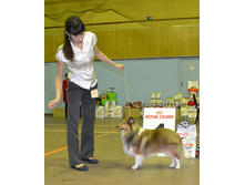 ���� �����