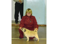 ������� ������� �� ��������� ������