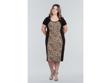 ������ �������� �.48-56 ���� 650 ���