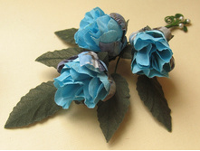 �������� "���� ���������"