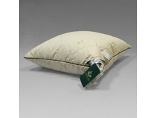 ������� ��� �������.JPG