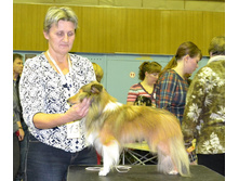 ���� �����