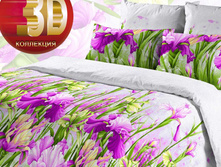 ���� B39.jpg