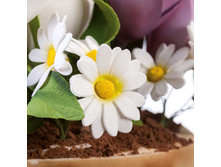 ����� ��� ������/������ �����, ���� �� 100 ��.-140 ���.+���.%